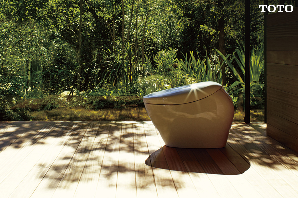 Toilet Flush Modern Design