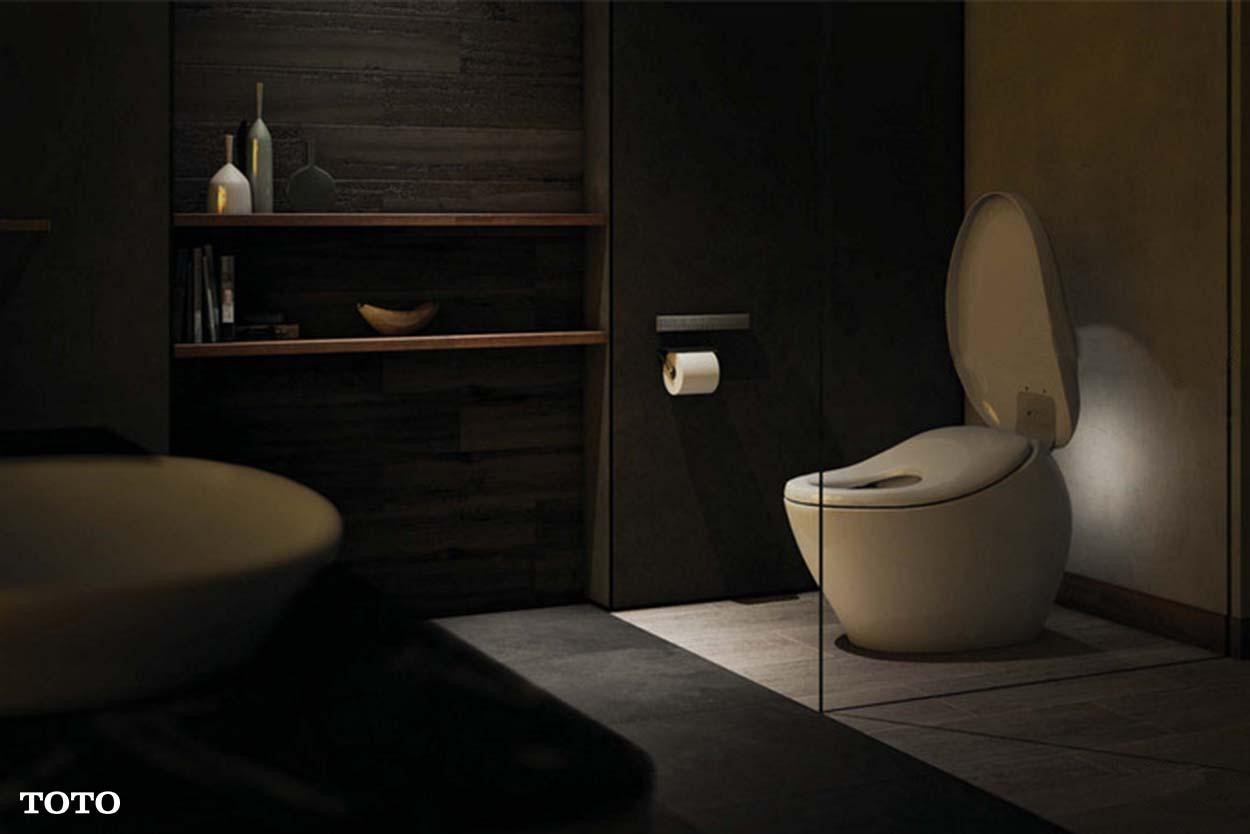 toilet bowl systems in singapore