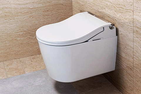 Washlet Plus Toilet Bowl