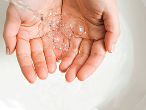 Image of SENSORY LAVATORY