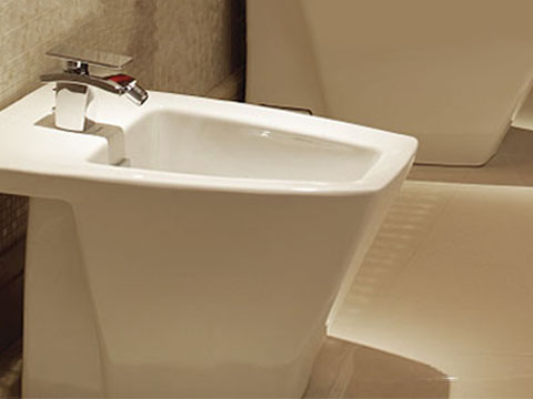 Image of FLOOR MOUNTED