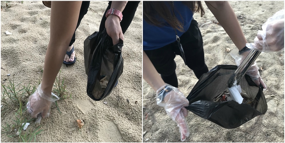 Beach Cleaning 1